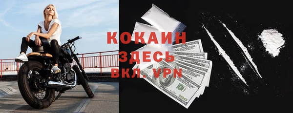 твердый Семёнов