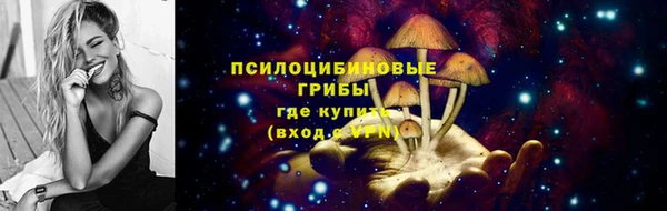 гашик Балахна