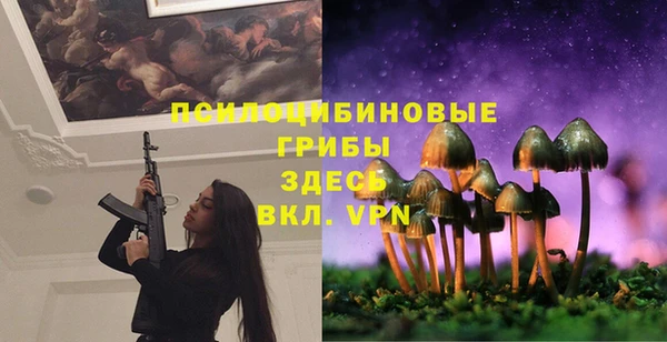 гашик Балахна