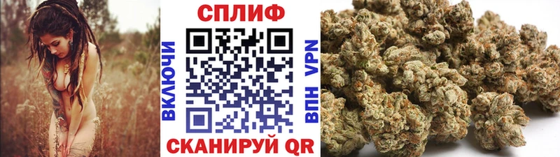 Конопля MAZAR  Тотьма 